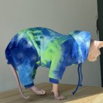 Pet Cat Clothing-Blue-green hoodie