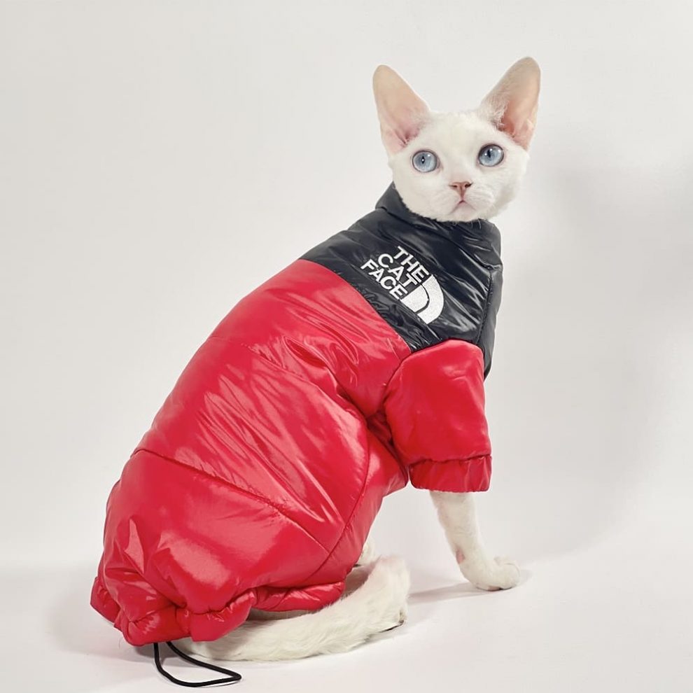 Sphynx Cats Clothes TNF Sphynx Warm Coat, The Cat Face Coat