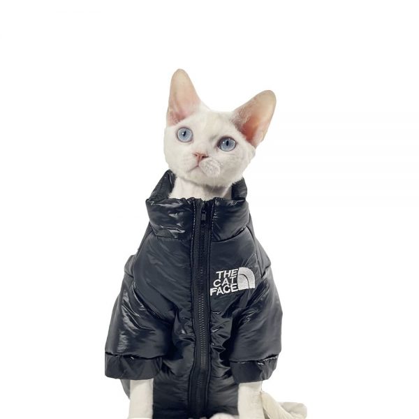 winter cat in puffer jacket