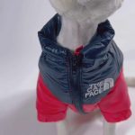Sphynx Cats Clothes-details