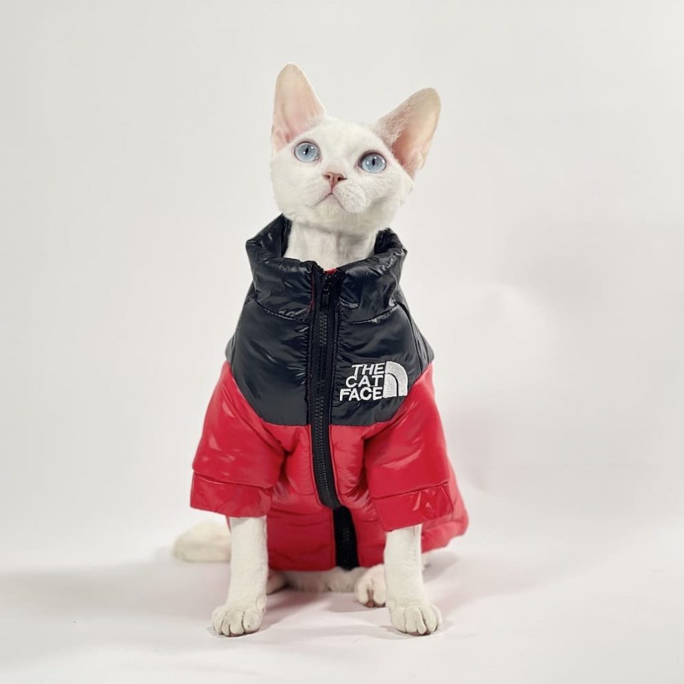 Sphynx Cats Clothes TNF Sphynx Warm Coat, The Cat Face Coat
