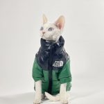 Sphynx Cats Clothes-Green long sleeve