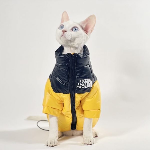 Одежда для кошек породы сфинкс - желтый с длинным рукавом