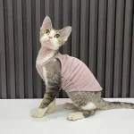 Summer Simple Tank Tops for Cats