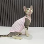 Summer Simple Tank Tops for Cats