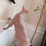 Sweater for Kittens-Sphynx wears pink sweater