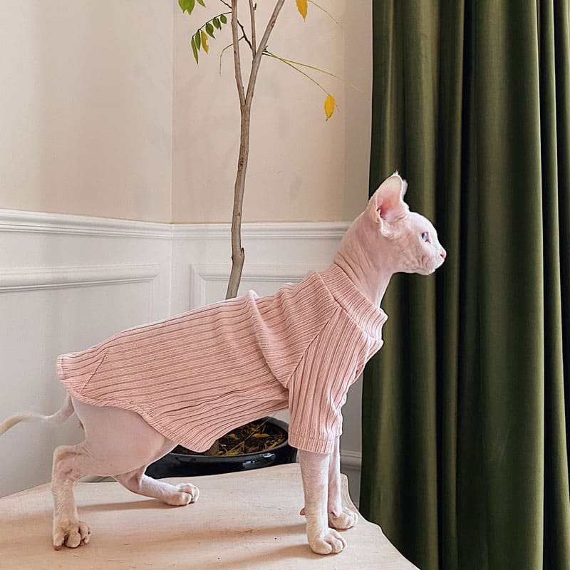 Jersey para gatitos-Sphynx lleva un jersey rosa