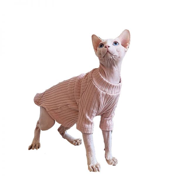Sweater for Kittens-Sphynx wears pink sweater