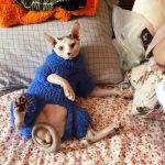 Sweaters for Kittens-Royal blue