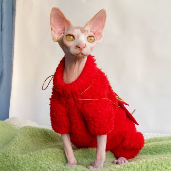 Suéteres para gatinhos | Camisola de velo de coral tricotada à mão