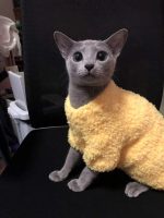 Sweaters for Kittens | Hand-knitted Coral Fleece Sweater