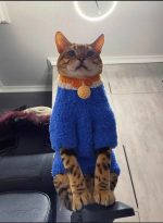 Suéteres para gatitos | Suéter de polar coral tejido a mano