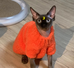 Sweaters for Kittens | Hand-knitted Coral Fleece Sweater