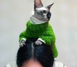 Sweaters for Kittens | Hand-knitted Coral Fleece Sweater