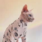 Tattoo Shirts for Cats-Sphynx wears tattoo shirt