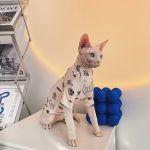 Tattoo Shirts for Cats-Sphynx wears tattoo shirt