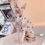 Tattoo Shirts for Cats-Sphynx wears tattoo shirt