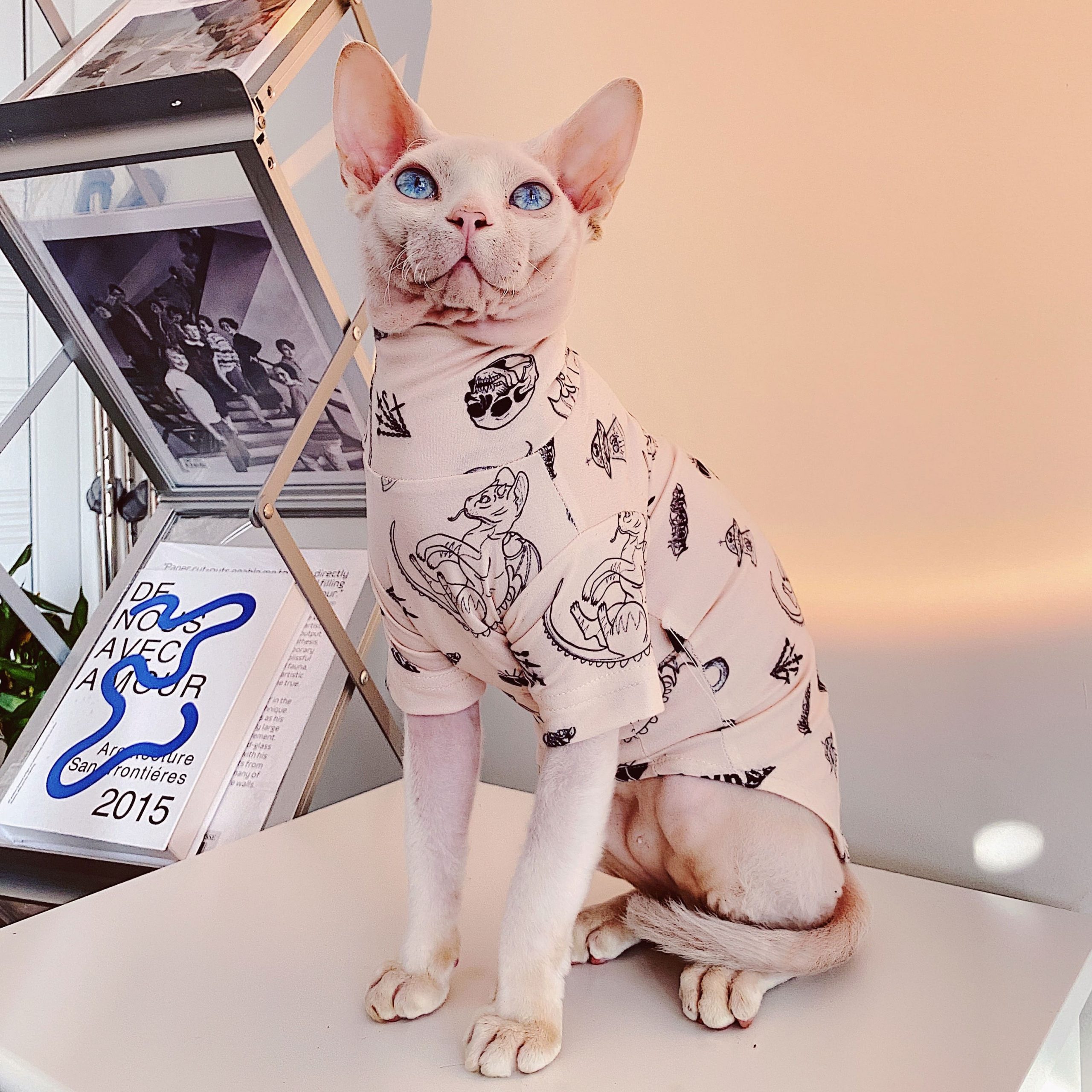 Solid Color Cat Shirt Sphynx Cat Clothes Hairless Cat T-shirt -  UK