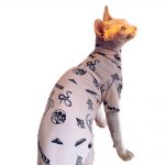 Tattoo Shirts for Cats-Sphynx wears tattoo shirt