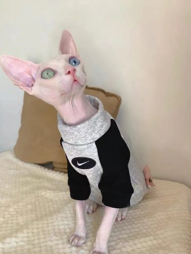 Shirts for Cats | Learn about Shirts for Sphynx Cat from YESWARMG