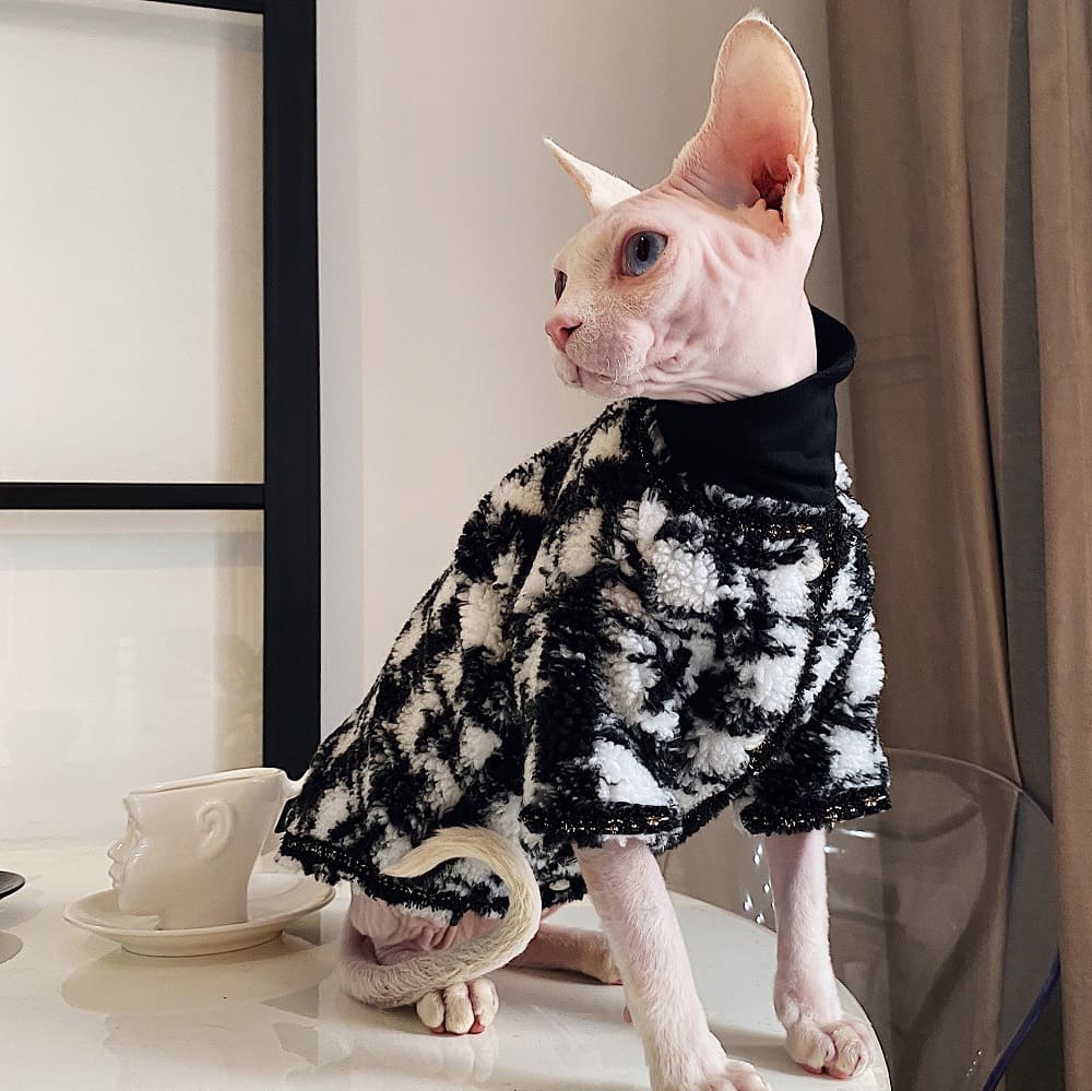 Tela para Gato | Abrigo "Chanel" para Sphynx, Impresionante Abrigo para Gato sin Pelo