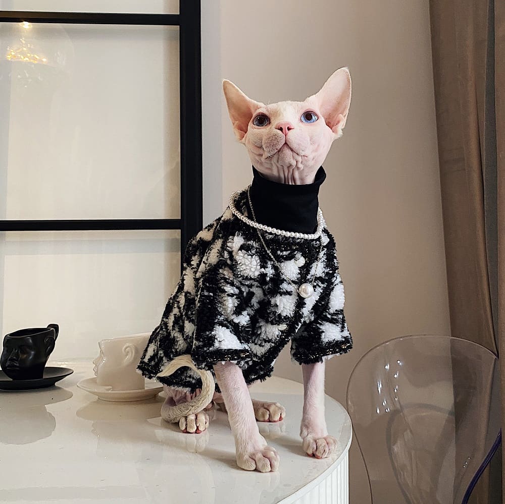 Panno per gatti | Cappotto "Chanel" per Sphynx, splendido cappotto per gatti senza pelo
