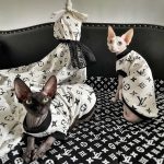 Cat T Shirts for Cats | "Louis Vuitton" Cat Clothes, Cat Designer Shirt