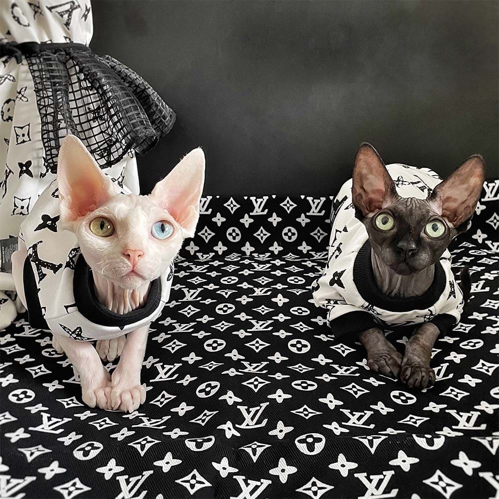 Cat T Shirts for Cats  Louis Vuitton Cat Clothes, Cat Designer Shirt