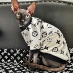 Cat T Shirts for Cats-LV Shirt