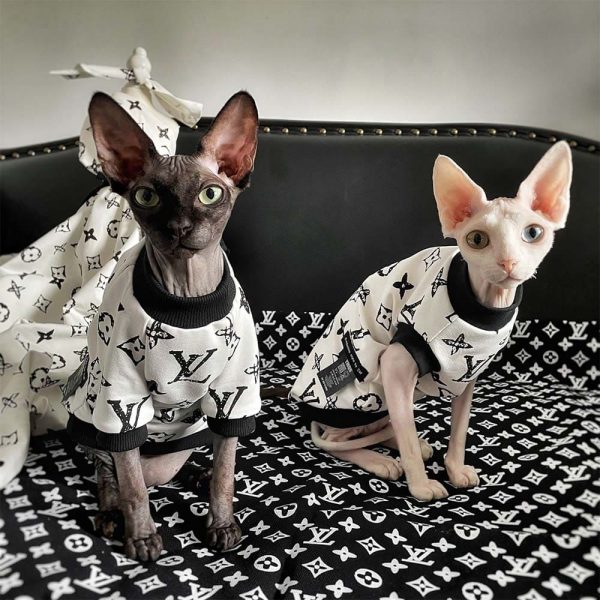 sphynx cat clothing