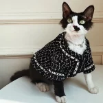 “Chanel” Coat for Sphynx