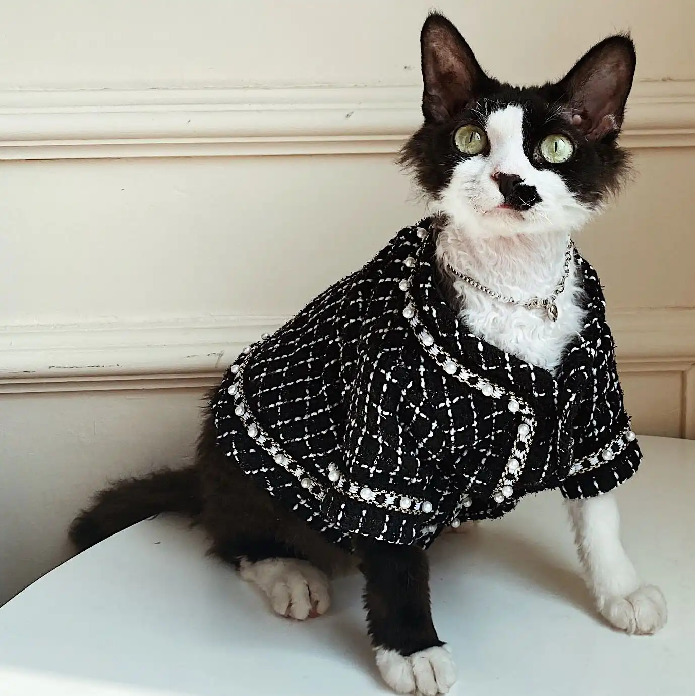 Chanel luxurious cat coat for Sphynx& Hairless Cat | Fashion winter jacket