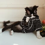 “Chanel” Coat for Sphynx