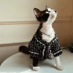 “Chanel” Coat for Sphynx