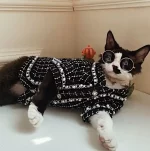 “Chanel” Coat for Sphynx