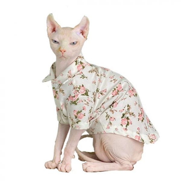 Chemises pour chats | Chemises florales pour chats, Chemises hawaïennes pour chats