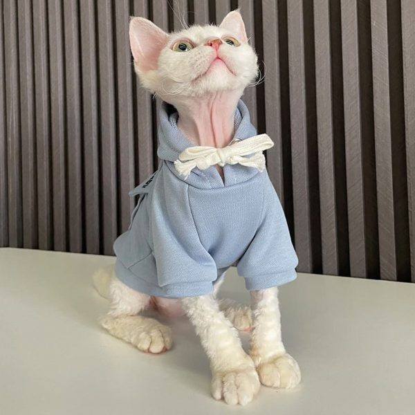 Clothing for Cats to Wear -Blue hoodie for cat