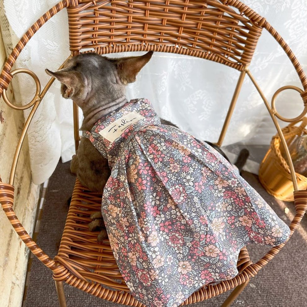 Cute Cat Outfit Beautiful Floral Camisole Dress, Dress for Cat