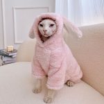 Kitten Outfits for Cats Cute Pink Bunny Outfit, Clothes for a Sphynx Cat (2)