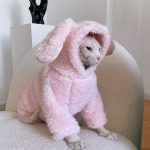 Kitten Outfits for Cats | Cute Pink Bunny Outfit, Clothes for a Sphynx Cat