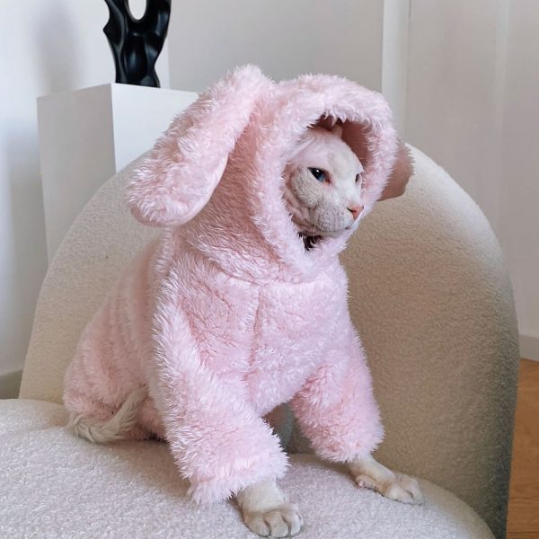 Vestiti per gatti - Vestito da coniglietto rosa, vestiti per gatto Sphynx