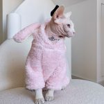 Наряды для котят | Милый розовый наряд зайчика, одежда для кошки породы сфинкс