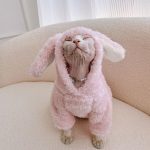 Kitten Outfits for Cats | Cute Pink Bunny Outfit, Clothes for a Sphynx Cat