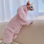 Kitten Outfits for Cats | Cute Pink Bunny Outfit, Clothes for a Sphynx Cat