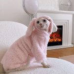 Kitten Outfits for Cats | Cute Pink Bunny Outfit, Clothes for a Sphynx Cat