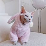 Наряды для котят | Милый розовый наряд зайчика, одежда для кошки породы сфинкс