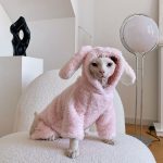 Kitten Outfits for Cats | Cute Pink Bunny Outfit, Clothes for a Sphynx Cat