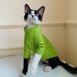 Kitty Sweater-Green