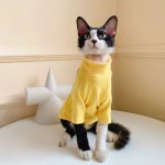 Kitty Sweater-Yellow