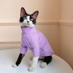Kitty Sweater-Purple